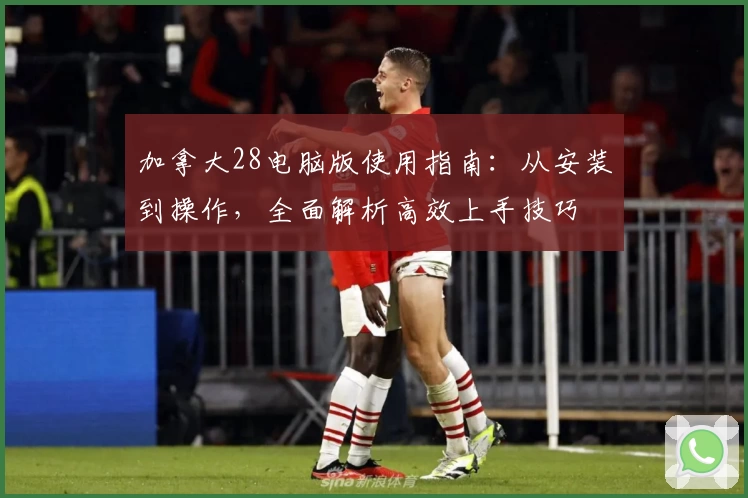 加拿大28电脑版使用指南：从安装到操作，全面解析高效上手技巧