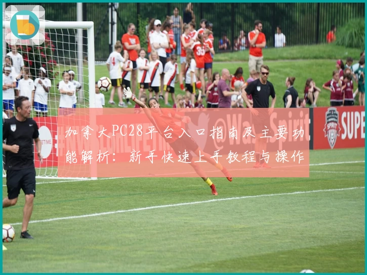 加拿大PC28平台入口指南及主要功能解析：新手快速上手教程与操作体验详解