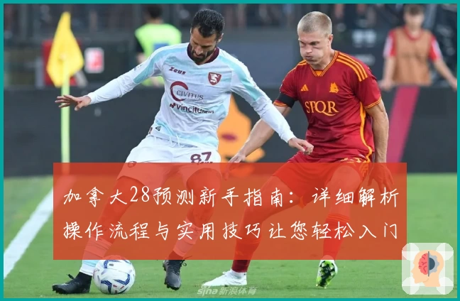 加拿大28预测新手指南：详细解析操作流程与实用技巧让您轻松入门