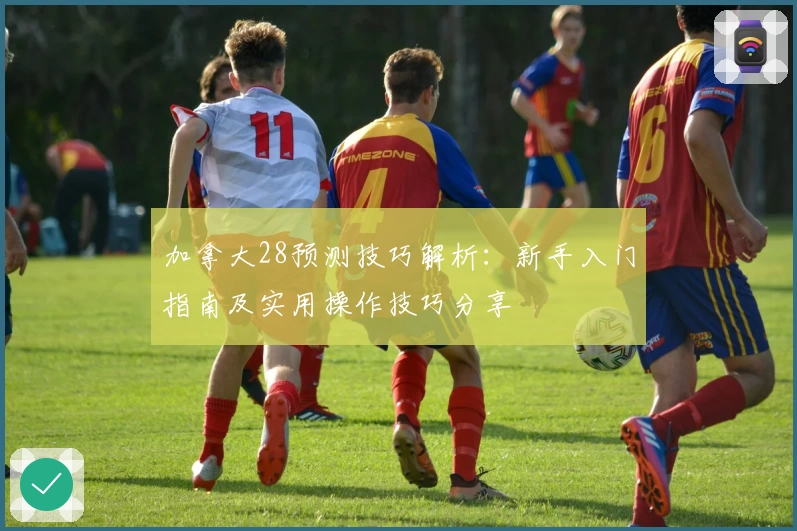 加拿大28预测技巧解析：新手入门指南及实用操作技巧分享