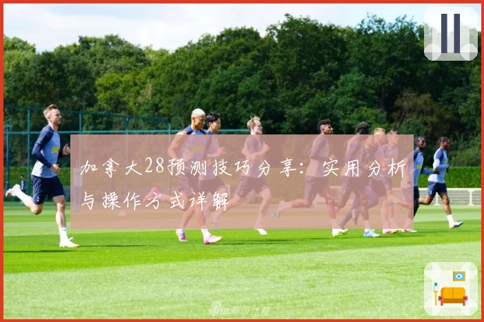 加拿大28预测技巧分享：实用分析与操作方式详解