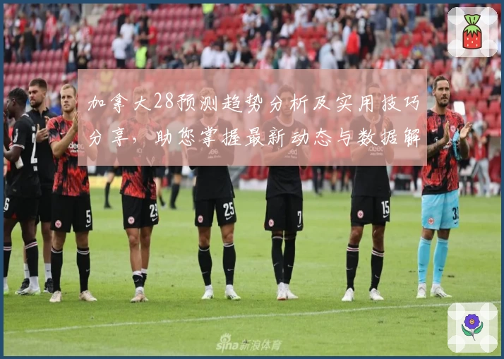 加拿大28预测趋势分析及实用技巧分享，助您掌握最新动态与数据解析