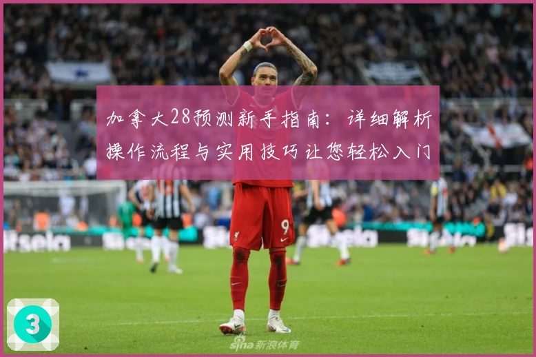 加拿大28预测新手指南：详细解析操作流程与实用技巧让您轻松入门