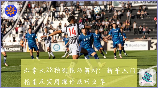 加拿大28预测技巧解析：新手入门指南及实用操作技巧分享