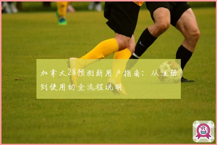 加拿大28预测新用户指南：从注册到使用的全流程说明