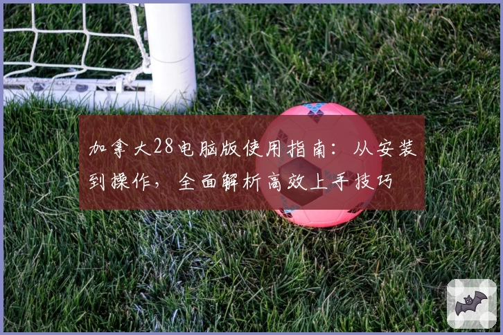 加拿大28电脑版使用指南：从安装到操作，全面解析高效上手技巧