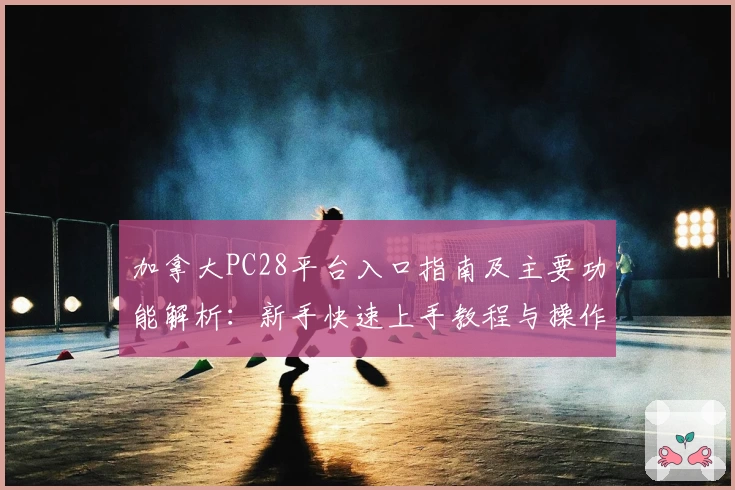 加拿大PC28平台入口指南及主要功能解析：新手快速上手教程与操作体验详解