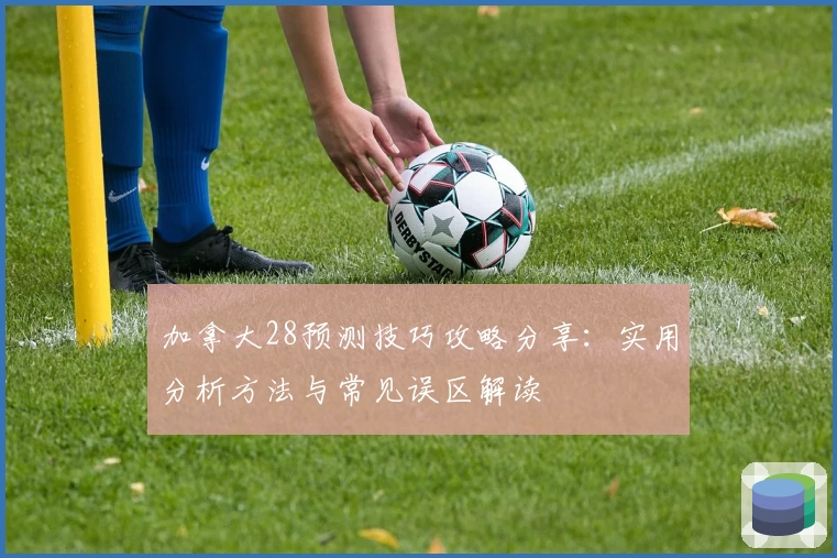 加拿大28预测技巧攻略分享：实用分析方法与常见误区解读