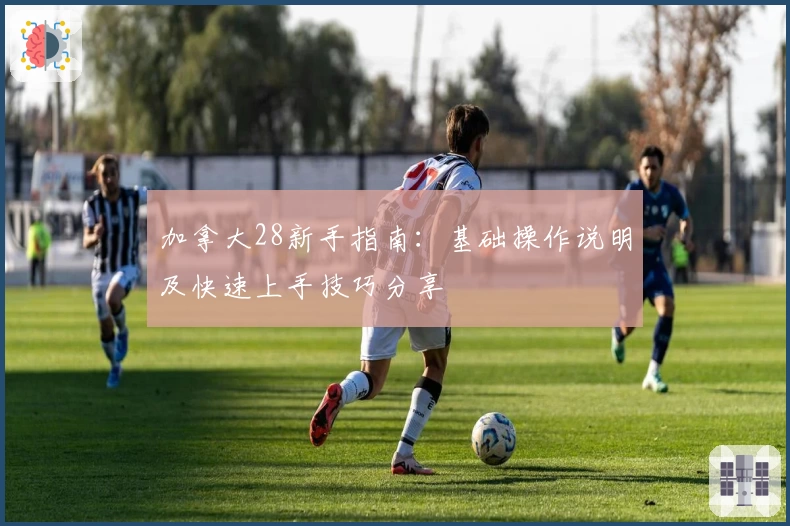 加拿大28新手指南：基础操作说明及快速上手技巧分享