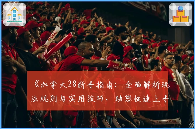 《加拿大28新手指南：全面解析玩法规则与实用技巧，助您快速上手》