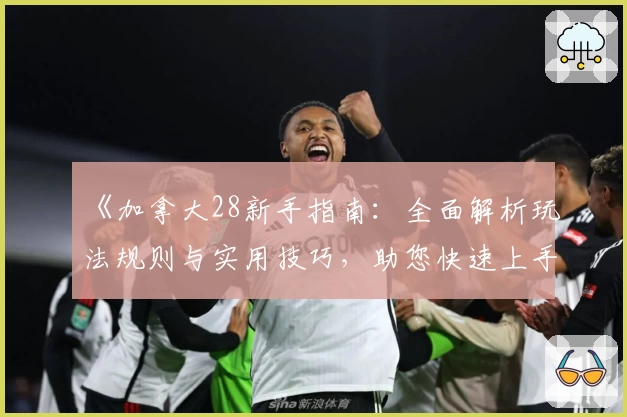 《加拿大28新手指南:全面解析玩法规则与实用技巧,助您快速上手》